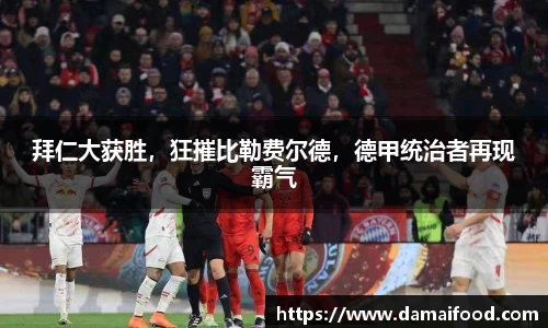 OB电竞官方下载
