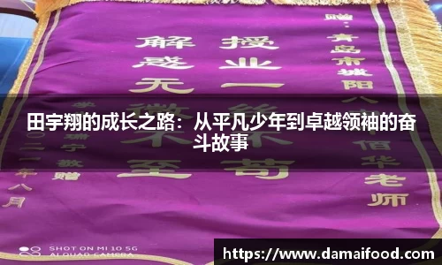 OB电竞