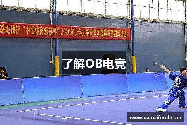 了解OB电竞